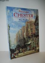 Picturesque Chester The City in Art