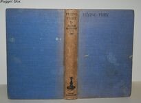 Flying Fury Additional Image