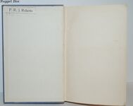 Flying Fury Additional Image