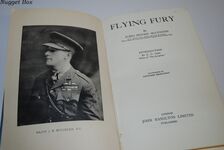 Flying Fury Additional Image