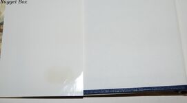 America's First Eagles. Additional Image