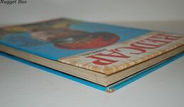 Redcap Annual Additional Image