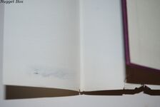 The Flying Cathedral Additional Image