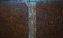 VITAL to the LIFE of the NATION Additional Image