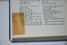 The Fledgling An Aerial Gunner in World War I - the Epic of a Volunteer Additional Image