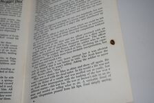 Desert Assignment Desert Assignment Additional Image