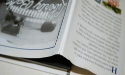 Eighth Air Force Bomber Stories Eye Witness Accounts from American Airmen Additional Image