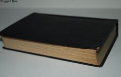 The Strange Vanguard A Fantasia Additional Image