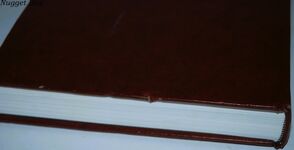 PARLIAMENTARY YEARBOOK 1991/92. Additional Image