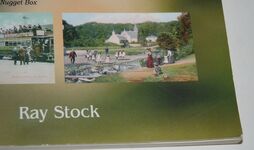 Old Postcard Views of Swansea & District Additional Image