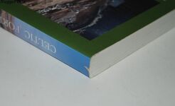 Celtic Fortifications Additional Image