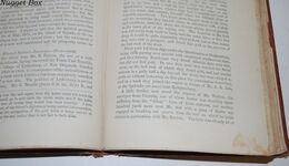 The Gold Regions of South Eastern Africa Additional Image