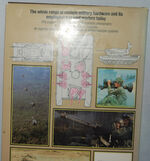 Modern Land Combat Additional Image