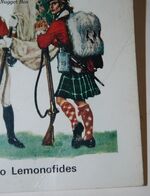 British Infantry Colours Additional Image