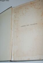 Under Ten Viceroys Additional Image