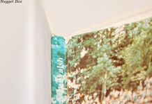 Seventy Years of Shelsley Walsh The Story of the Oldest Motoring Speed Additional Image