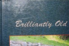 Brilliantly Old Fashioned History Trains The Story of ACE Gauge 0 Trains Additional Image