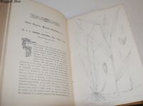 Proceedings of the Dorset Natural History and Antiquarian Field Club Additional Image