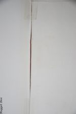 A History of Wolverhampton to the Early Nineteenth Century Additional Image