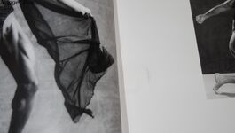 The Women: Photographs of the Top Female Bodybuilders Additional Image