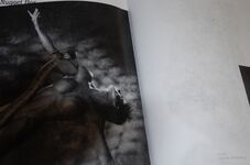 The Women: Photographs of the Top Female Bodybuilders Additional Image