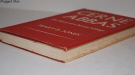 Cerne Abbas The Story of a Dorset Village Additional Image