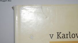 Divadlo V Karlových Varech: Historie a Obnova Na Konci Tisíciletí Additional Image