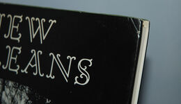 New Orleans Additional Image