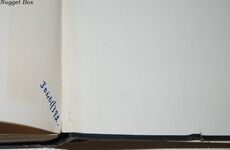 The Village a Novel Additional Image