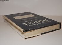 Structure and Function of Muscle V1 Additional Image