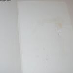 The Figure on the Boundary Line Selected Prose Additional Image