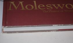 Molesworth: the Pioneer of Western Design Additional Image