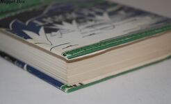 THE HOBBIT or THERE and BACK AGAIN - Illustrated by Author Additional Image