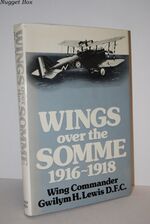 Wings over the Somme, 1916-1918