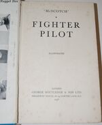 Fighter Pilot Additional Image