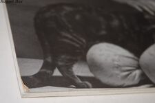Madonna Nudes Additional Image