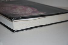 Collecting Lustreware Additional Image