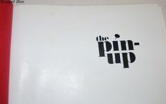 The Pin-Up; A Modest History Additional Image