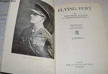 Flying Fury Additional Image