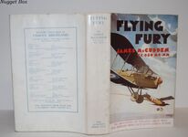 Flying Fury Additional Image