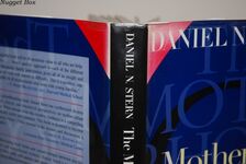 The Motherhood Constellation; A Unified View of Parent-Infant Psychotherapy Additional Image