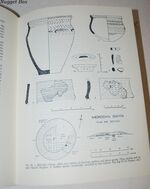 Prehistoric Anglesey; Archaeology of the Island to the Roman Conquest Additional Image