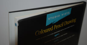 Colour Pencil Drawing Additional Image