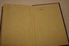 Monkey Tree in a Flower Pot Additional Image