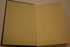 Monkey Tree in a Flower Pot Additional Image