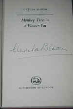 Monkey Tree in a Flower Pot Additional Image