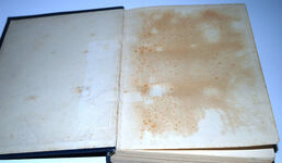 Ships and Ship Models Volume IV Additional Image