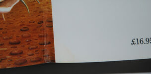 Barbel Catchers and Friends Additional Image