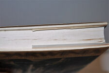 Darwinia Additional Image