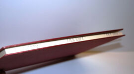 Soldiers Died in the Great War, 1914-19 Part 23 : Royal Irish Regiment and Additional Image